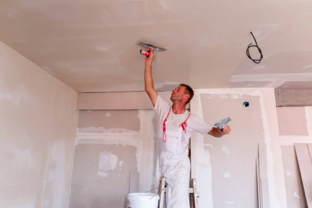 Best Water-Damaged Drywall Repair  in Mount Vernon, IA